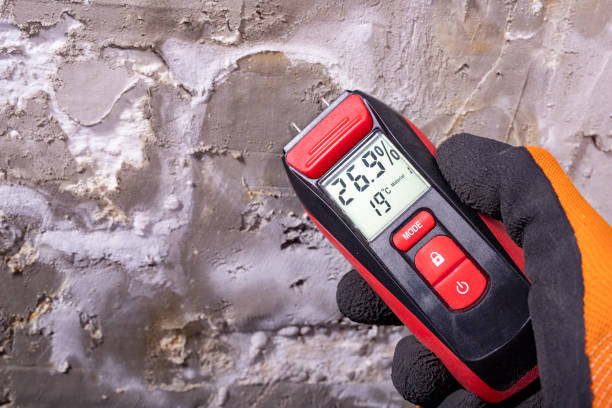 Trusted St Helens, OR Mold Remediation Experts